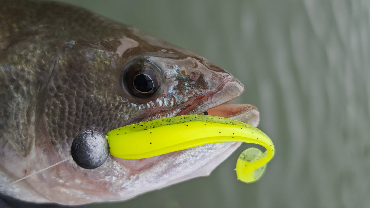Paddle Tail Swimbait