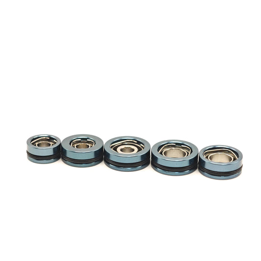 Hybrid SIC BFS Bearings