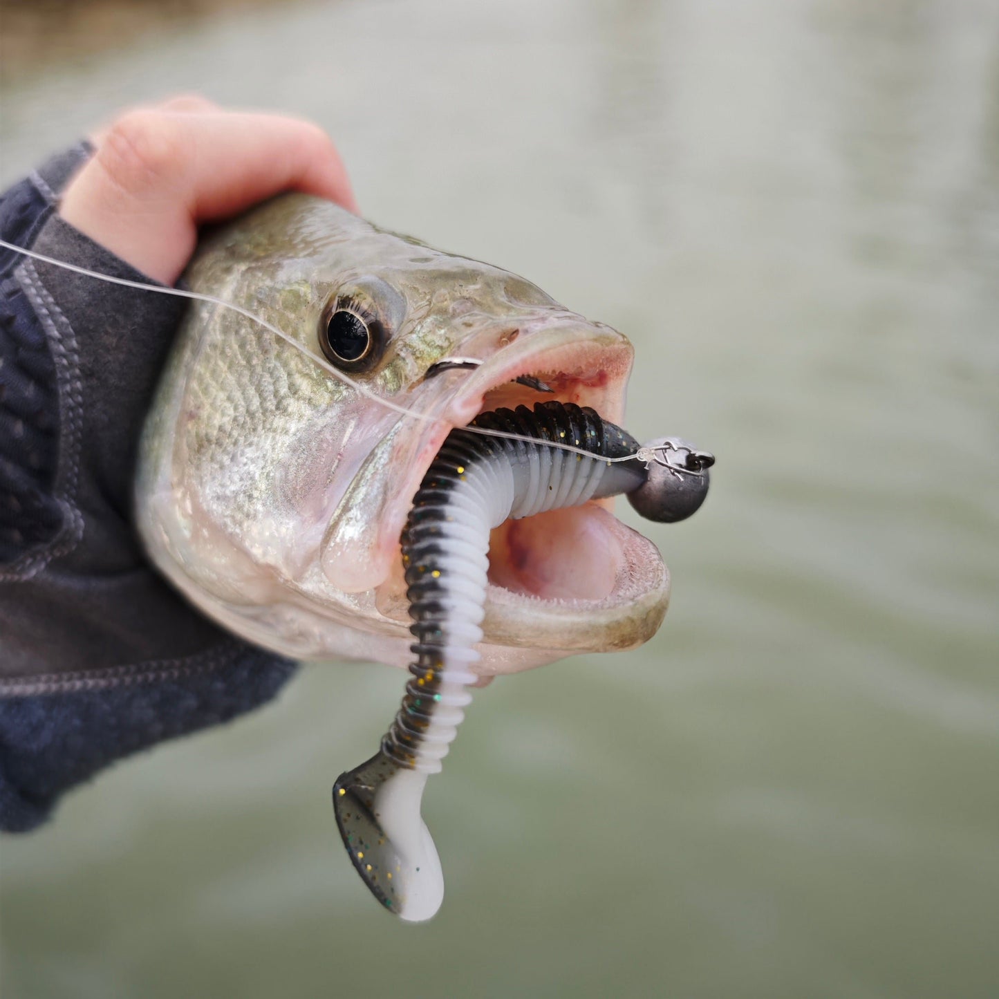 Ribbed Paddle Tail