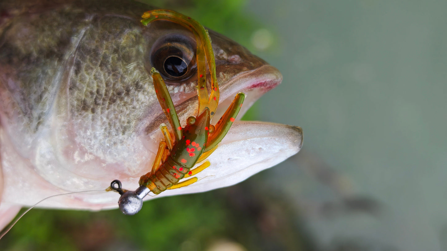 BB Craw