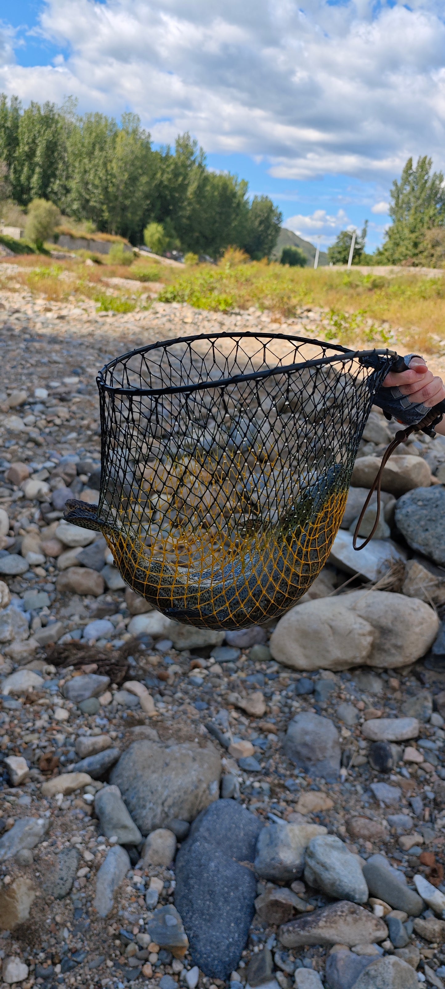 Handmade Cremona knotted Net